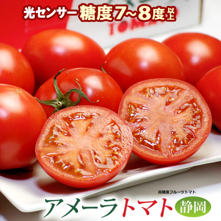 楽天市場】アメーラ トマト (約900g) 静岡産 秀品 フルーツトマト 