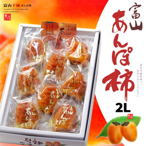 xR OЊ` ۊ` 2L Gi (8) xRY  A|` ` ` ق`   aَq hCt[c Hi t[c ʕ ` Ε Mtg  蕨 ~̖o  䋟 