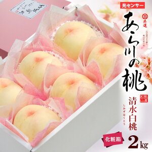 �����̓� �������� (2L×6��/��2kg) �a�̎R�Y �ԏG ��� ���炩��̂��� ���炩��̓� �ەS�I�ʏ� ���炩�� �� ���� peach ���� ���݂��͂��Ƃ� 2�L�� �H�i �t���[�c �ʕ� �� ���R�� �M�t�g ���� 