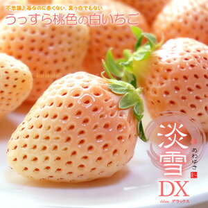 白 いちご 食品の通販 価格比較 価格 Com 白 いちご 食品の通販 価格比較 価格 Com