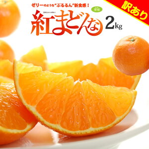 家庭用 訳あり 紅まどんな (約2kg) 愛媛産 べにまどんな 紅マドンナ ベニマドンナ みかん ミカン 蜜柑 柑橘 2キロ 食品 フルーツ 果物 みかん ワケアリ 訳アリ 甘い 人気 男性 女性 2025 糖度 送