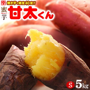 Ñ S (5kg) 啪Y g͂邩 񂽂    Â lbg x ܈ Tc}C Ï Ă Ă F Hi  ̂ Tc}C Ñ Mtg  Â l