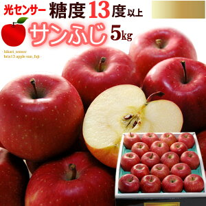 Tӂ  x13xȏI (5kg) XY/Y Tӂ 5L p Mtg  Tӂ TtW Txm ӂ ь apple Hi t[c ʕ  Tӂ x 