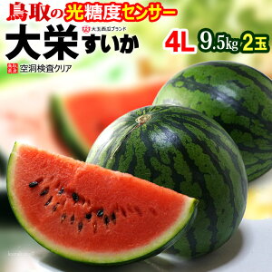 ���� ��h������ �G�i (4L×2��) ����Y �X�C�J ��h�X�C�J ������ �������� �_�C�G�C ���� ��� �W�����{ suica ���Z �����x�Z���T�[ �󓴌��� watermelon �H�i �t���[�c �ʕ� �X�C�J ���� �M�t�g ��