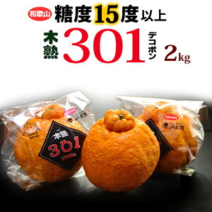 �؏n �f�R�|�� 301 (��2kg) �a�̎R�Y �G�i �f�R�|�� �ł��ۂ� dekopon ���k ���� �M�t�g ���x15�x�ȏ� �s�m�� �����x �Â� ���Z���T�[ �H�i �t���[�c �ʕ� �݂��� �i�� �䋟�� ������ ���x �Â� �l�C