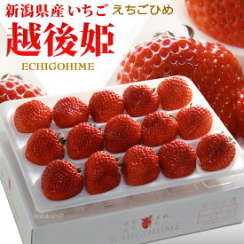 越後姫 いちご (約450g) 新潟産 イチゴ 苺 ギフト 贈答用 高糖度 甘い 大粒 大玉 高級いちご 食品 フルーツ 果物 いちご 越後姫 えちごひめ 贈答 進物 御供え お供え 甘い 人気 男性 女性 喜ばれる 2026 送料無料