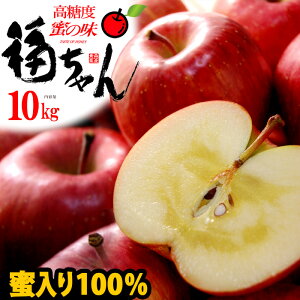 Tӂ   I (10kg) XY I   p  S ь TtW 10L apple ringo Hi t[c ʕ  Ε Ε Mtg  蕨 