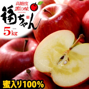 Tӂ   I (5kg) XY I   p  S ь TtW 5L apple ringo Hi t[c ʕ  Ε Ε Mtg  蕨  