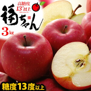 Tӂ  xI (3kg) XY Tӂ  Gi܂͓I x13xȏ  TtW ӂ S  Mtg p ь t[c ʕ 