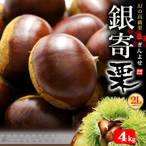 I 2L (4kg) ɈQEF{Y 悹  嗱 aI  N MZ Hi t[c ʕ I Â lC j  ΂ 2025 