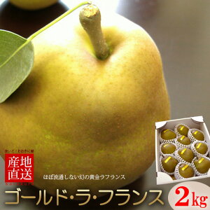 S[htX (2kg) R`Y p m m  S[h EtX ӂ pear Hi t[c ʕ m Ε Ε Mtg i  䋟 Â lC j  