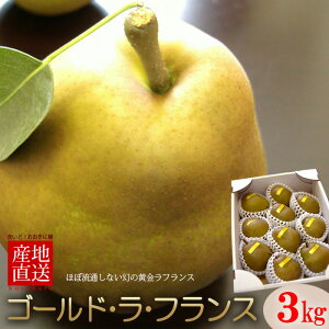 S[htX (3kg) R`Y p m miV mȂ m S[h EtX ӂ pear Hi t[c ʕ m Ε Ε Mtg i  䋟 Â lC j