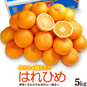 ͂Ђ ݂ (5kg) QY ԏG p Mtg ^S[ × IZIIW × {쑁݂ Hi t[c ʕ ݂ Ε Ε Mtg   䋟 Â lC j 