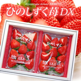 ひのしずく いちご デラックス (約300g×2P) 熊本産 ひのしずくDX 贈答用 秀品 ギフト いちご 苺 イチゴ 大粒 大玉 高糖度 甘い 高級いちご 食品 フルーツ 果物 いちご ギフト 贈答 進物 祝い お歳暮 御歳暮 御供え お供え 甘い 人気 男性 女性 喜ばれる 2025 送料料無