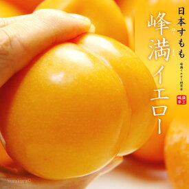 峰満イエロー (約2kg) 山形産 秀品 日本すもも プラム ほうまんいえろー 国産 すもも スモモ ぷらむ plum 食品 フルーツ 果物 プラム 贈答 ギフト 残暑見舞い お供え 御供え 甘い 人気 男性 女性 喜ばれる 2026 送料無料