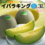 イバラキング 3L×2玉 (約2.5kg) 茨城産 秀品 茨城王 メロン めろん 大玉 ほこた 鉾田 鉾田メロン いばら…