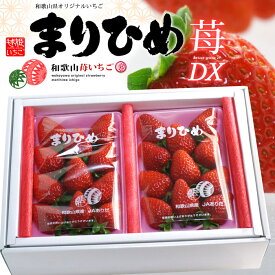 まりひめ いちご デラックス (約300g×2P) 和歌山産 秀品 まりひめDX まりひめ まり姫 毬姫 毬ひめ マリヒメ マリ姫 贈答 ギフト いちご 苺 イチゴ デラックス 大粒 大玉 糖度 甘い 高級 フルーツ 果物 いちご 進物 御供え お供え 人気 男性 女性 喜ばれる 2026 送料無料