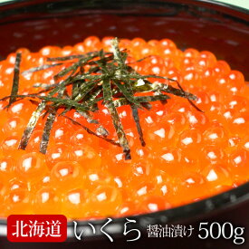 いくら 醤油漬け (500g) 北海道産 大粒 高級 イクラ いくら 魚卵 鮭 サケ ギフト 贈答 送料無料