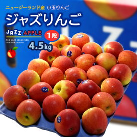 jazz りんご (約4.5kg) ニュージーランド産 ジャズ りんご リンゴ 林檎 jazz apple 食品 フルーツ 果物 輸入 高糖度 甘い ジャズりんご 小玉 送料無料