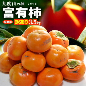 󂠂 xL` (3.5kg) a̎R xRY SÊ` ӂ䂤` ӂ䂤 ƒp  PA 킯 A `  JL persimmon ƒp Hi t[c ʕ ` Â lC j  