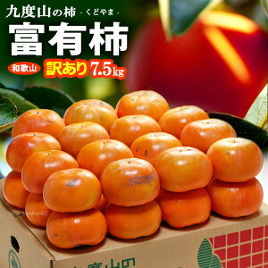 󂠂 xL` (7.5kg) a̎R xRY ӂ䂤` ӂ䂤 ƒp  PA 킯 A `  JL persimmon ƒp Hi t[c ʕ ` x { Â lC j  2025 