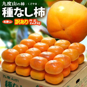 󂠂 Ȃ` (7.5kg) a̎R xRY ˂Ȃ` 햳` 햳 `  JL persimmon j Ђ炽 ƒp PA Hi t[c ʕ ` Â lC j  2025 