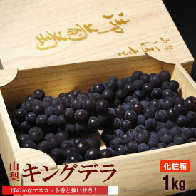 キングデラ (約1kg) 山梨産 ぶどう ブドウ 葡萄 grape 平均糖度20度 種無し ぶどう 食品 フルーツ 果物 ブドウ キングデラ 山梨 化粧箱 秀品 ギフト 贈答 お中元 御中元 御供え お供え 送料無料