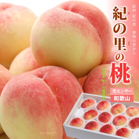 紀の里の桃 (12玉前後/約4kg) 和歌山産 赤秀 大玉 白鳳 嶺鳳(なつっこ) 川中島白桃 JA紀の里 桃 もも モモ peach 白桃 はくほう かわなかじま 食品 フルーツ 果物 桃 ギフト 贈答 お中元 御中元 お供え 御供え 暑中見舞い 甘い 人気 男性 女性 喜ばれる 2025 送料無料