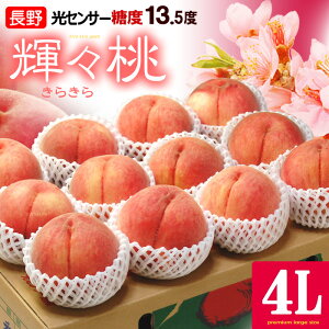 PX (LL) 4L×12 (5kg) Y Gi 炫瓍    peach  x13.5xȏ  c ăMtg Hi t[c ʕ  Mtg   䋟 Â l