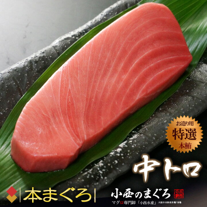 楽天市場 本マグロ中トロ 約0g 地中海産 蓄養鮪 贈答用 本マグロ 本まぐろ 本鮪 クロマグロ 黒まぐろ 黒鮪 食品 魚介類 水産加工品 マグロ 中トロ まいど おおきに屋クラクラ