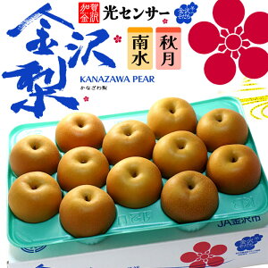  쐅EÂ 3L-4L (5kg) ΐY Gi 쐅 H Ȃ iV pear ZT[ x  H Hi t[c ʕ a c Mtg  䋟 Â lC j  