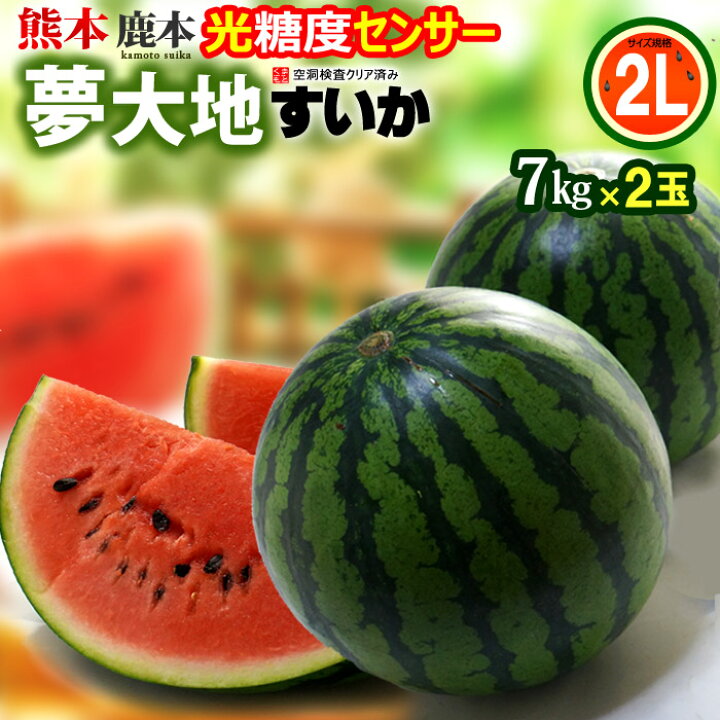 楽天市場】熊本すいか 夢大地 鹿本のスイカ (2L×2玉) 熊本産 秀品 熊本 