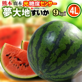 熊本すいか 夢大地 鹿本のスイカ (4L×1玉) 熊本産 秀品 熊本スイカ 贈答 ギフト 熊本 すいか 西瓜 スイカ かもと 糖度11度以上選果 光センサーによる空洞検査済み 食品 フルーツ 果物 スイカ ギフト 贈答 進物 御供え お供え 送料無料