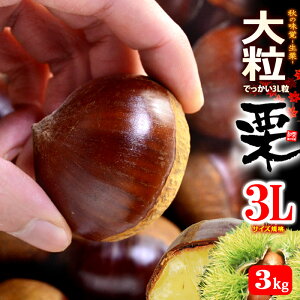 I 3L (3kg) F{EQEY 嗱 aI I  N 3L Hi t[c ʕ I Â lC j  ΂ 2025 