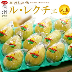 EN`F (5kg) Y MB  Gi N`F  蕨 m miV mȂ m ꂭ pear Hi t[c ʕ m Mtg i  䋟 Mtg Â lC j  