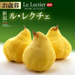 EN`F (2kg) VY Gi p m m miV N`F ꂭ pear Hi t[c ʕ m Ε Ε  䋟 Mtg ֓ Â lC j  ΂ 2025 