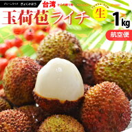 台湾ライチ 玉荷包 (約1kg) 台湾産 玉荷苞 ライチ 生ライチ らいち グリーンライチ ドラゴンライチ レイ…