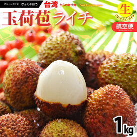 台湾ライチ 玉荷包 (約1kg) 台湾産 玉荷苞 ライチ 生ライチ らいち グリーンライチ ドラゴンライチ レイシ 茘枝 Lychee ぎょっかほう ぎょくかほう 1キロ 航空便 エアー便 フレッシュ 食品 フルーツ 果物 ライチ 冷蔵 送料無料