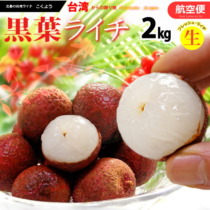 楽天市場 フレッシュ台湾ライチ 黒葉 約2kg 台湾産 航空便 エアー便 限定 希少な生ライチ 食品 フルーツ 果物 ライチ 送料無料 まいど おおきに屋クラクラ