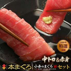 小西の本まぐろギフトセット (中トロ 赤身) 地中海産 蓄養鮪 本まぐろ 中トロ200g 赤身200g 贈答用 本マグロ 本鮪 クロマグロ 黒まぐろ 黒鮪 中トロ 中とろ トロ 赤身 あかみ 食品 魚介類 水産加工品 マグロ 赤身 トロ ギフト 贈答 送料無料