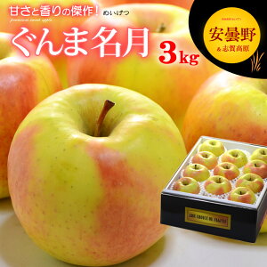 ܖ  (3kg) Y Gi p   S  ߂ CQc apple ringo S ь Hi t[c ʕ  Mtg  蕨  䋟 Â l