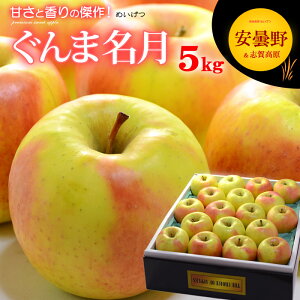 ܖ  (5kg) Y Gi p   S  ߂ CQc apple ringo S ь Hi t[c ʕ  Mtg  蕨  䋟 Â l