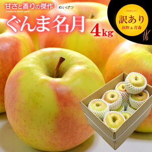 ƒp 󂠂 ܖ  (4kg) ŶXY   ƒp  ܖ ߂ CQc apple ringo S ь Hi t[c ʕ  킯 PA