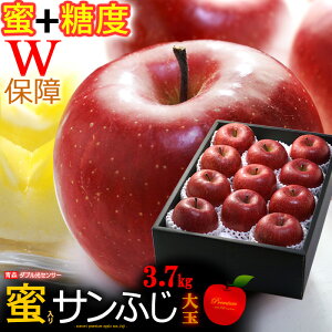 5v~A Tӂ  (3.7kg) XY    x13xȏ I Tӂ TtW Txm ӂ I  蕨 S ь apple Hi t[c ʕ  Ε 