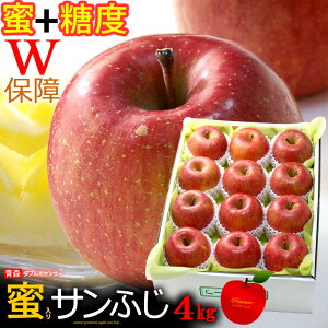 WZT[ Tӂ  (4kg) XY   x13xȏ Tӂ TtW Txm ӂ  S ь apple Hi t[c ʕ  Ε Ε Mtg 蕨 {
