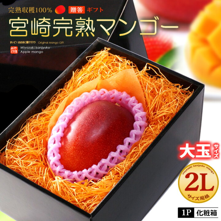楽天市場】宮崎マンゴー (2L/約350g) 宮崎産 赤秀～青秀 宮崎完熟 