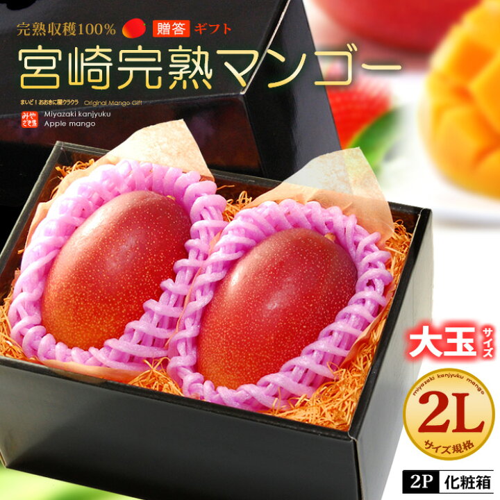 楽天市場】宮崎マンゴー (2L×2玉/約700g) 宮崎産 赤秀～青秀 宮崎完熟 