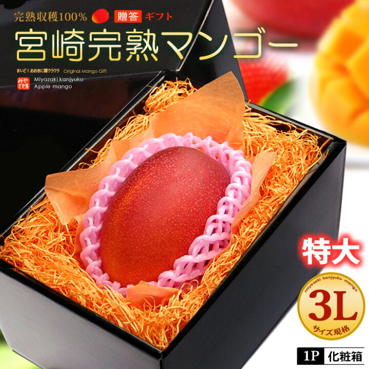楽天市場】宮崎マンゴー (3L/約450g) 宮崎産 秀品 宮崎完熟マンゴー  