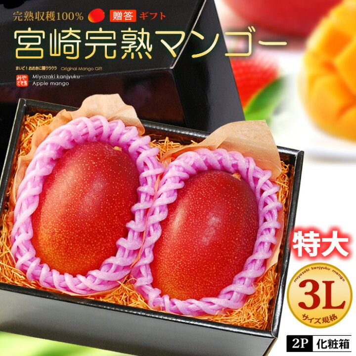 楽天市場】宮崎マンゴー (3L×2玉/約900g) 宮崎産 赤秀～青秀 宮崎完熟 