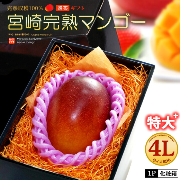 楽天市場】宮崎マンゴー (4L/約510g) 宮崎産 赤秀～青秀 宮崎完熟 